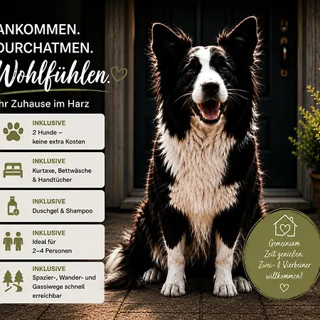 Harzurlaub Mit 2 Hunden - Alte Schule In Appartement *