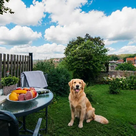 Appartement Harzurlaub Mit 2 Hunden - Alte Schule In *
