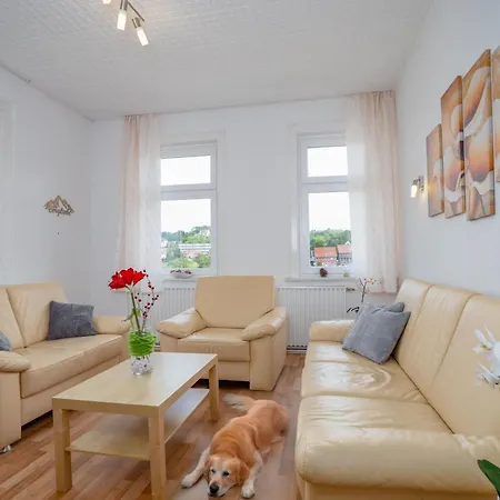 Harzurlaub Mit 2 Hunden - Alte Schule In Appartement