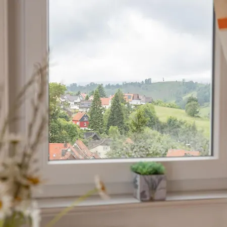 Harzurlaub Mit 2 Hunden - Alte Schule In Apartment